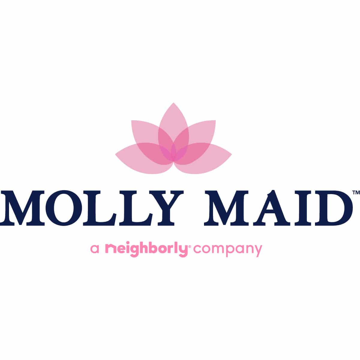 molly maid franchise for sale
