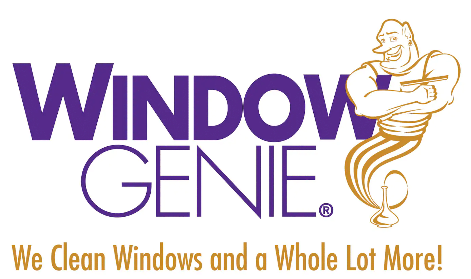 window genie franchise for sale