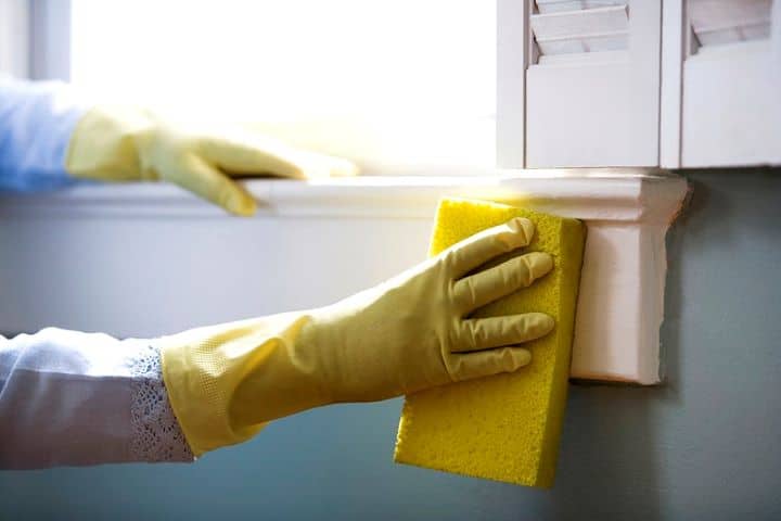 Profitable Residential Cleaning Franchise