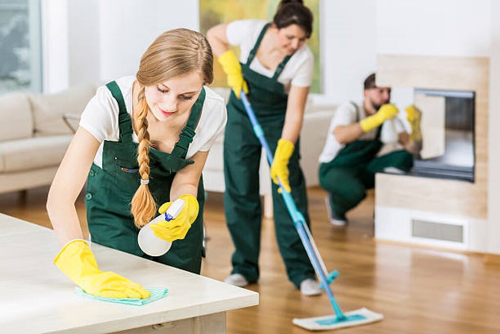 Profitable Cleaning Company