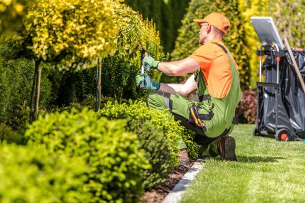 Lawn Service & Landscaping Company
